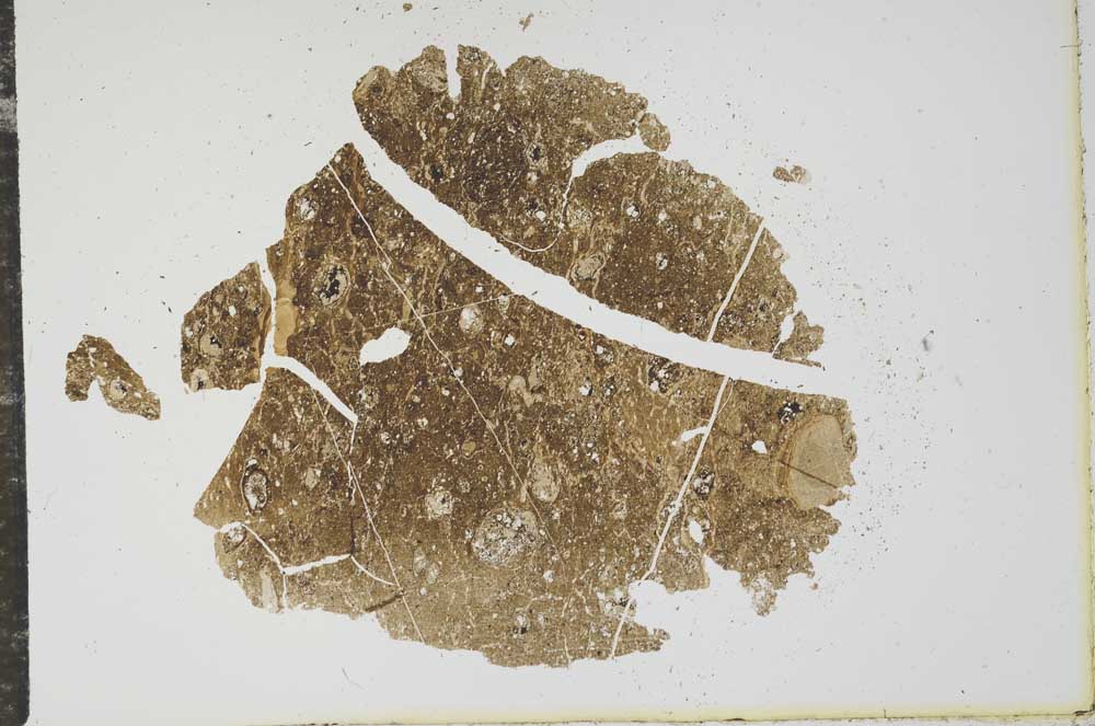 Plane Polarized, S16101