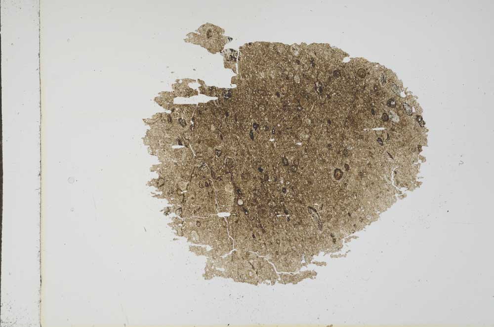 Plane Polarized, S16103