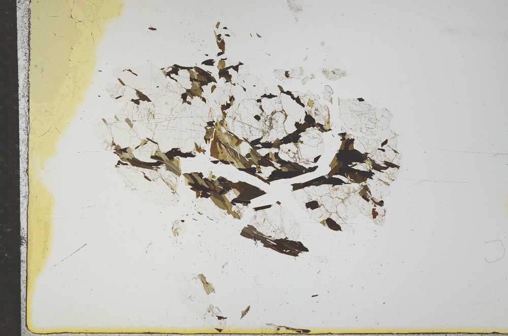 Plane Polarized, S16149