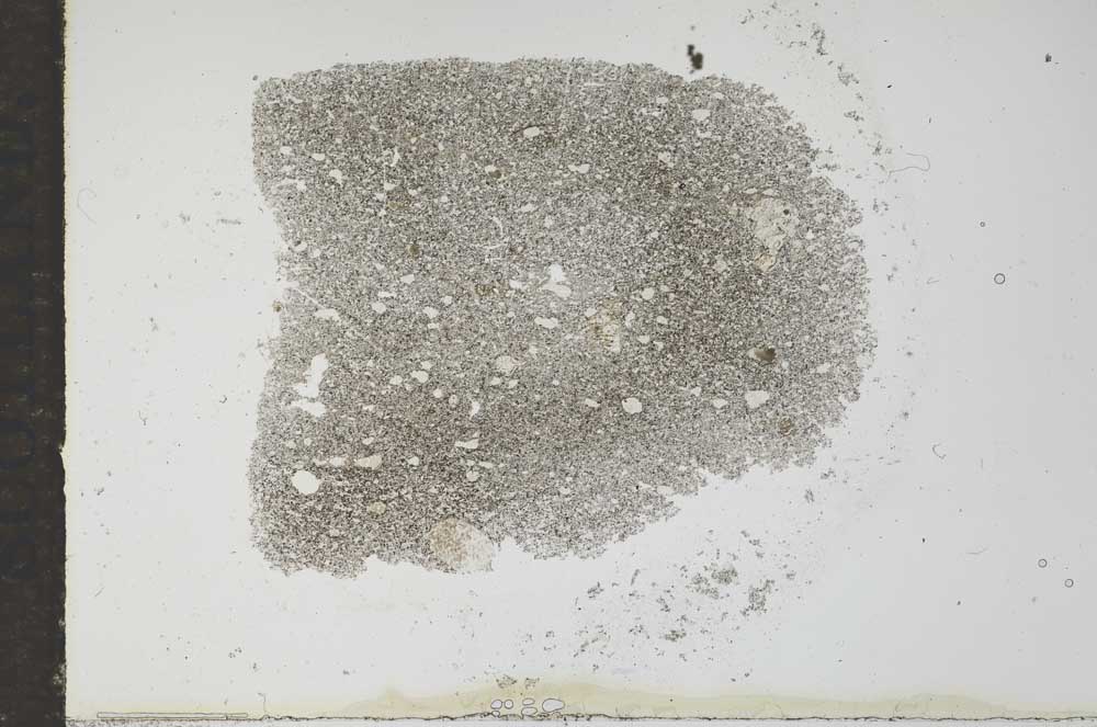 Plane Polarized, S16179