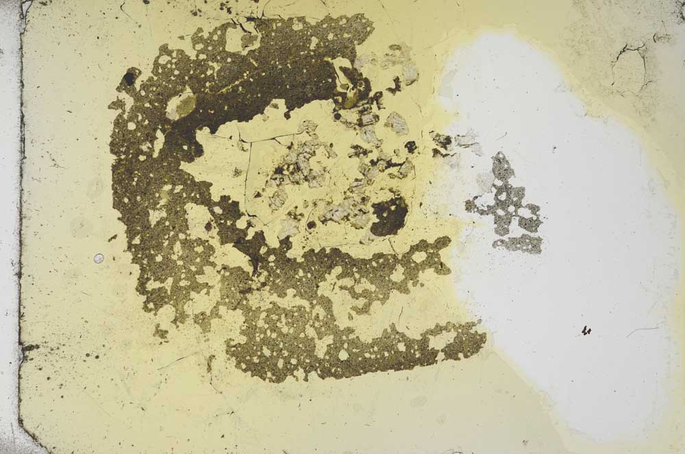 Plane Polarized, S16187/A