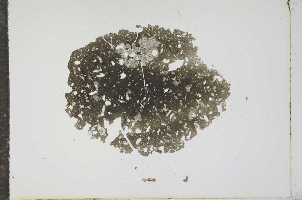 Plane Polarized, S16193