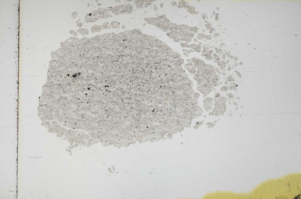 Plane Polarized, S16200