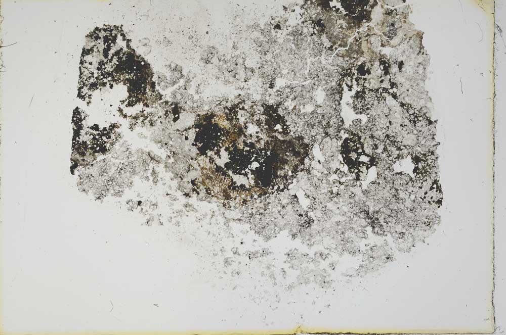 Plane Polarized, S16203