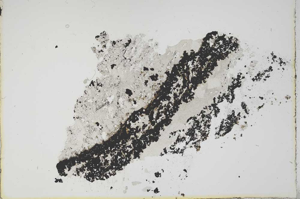 Plane Polarized, S16204