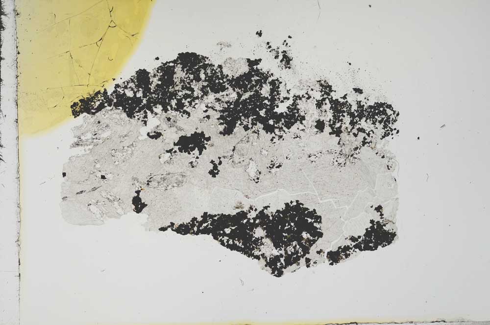 Plane Polarized, S16205