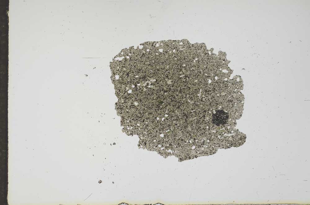 Plane Polarized, S16220