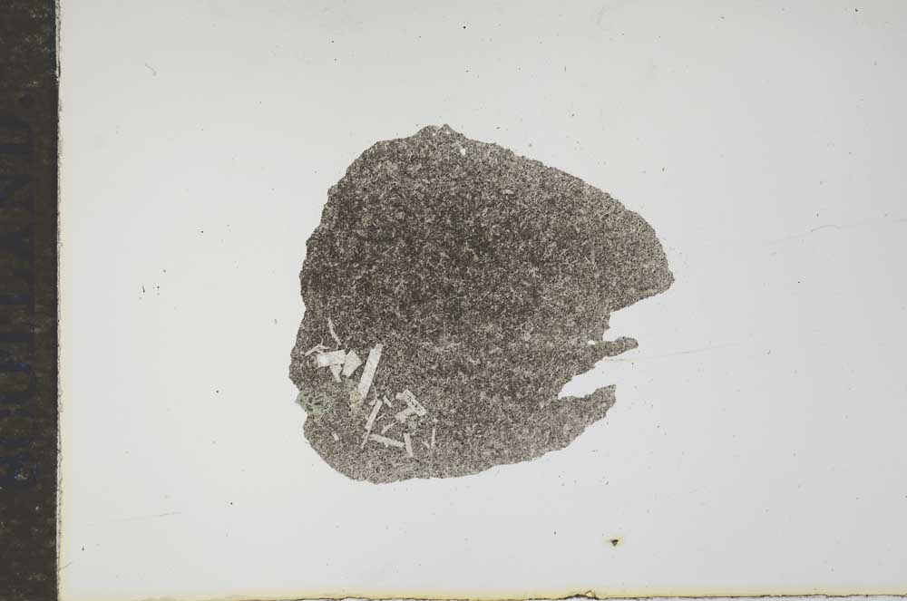 Plane Polarized, S16222