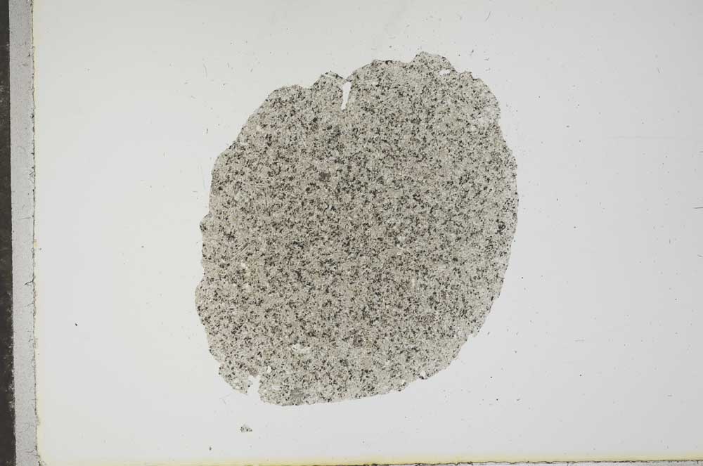 Plane Polarized, S16224