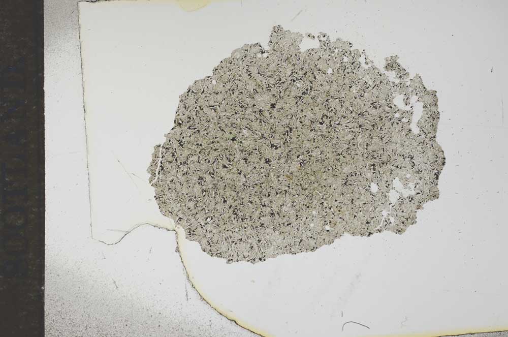 Plane Polarized, S16231