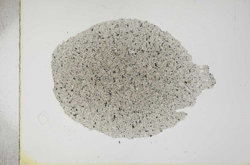 Plane Polarized, S16233