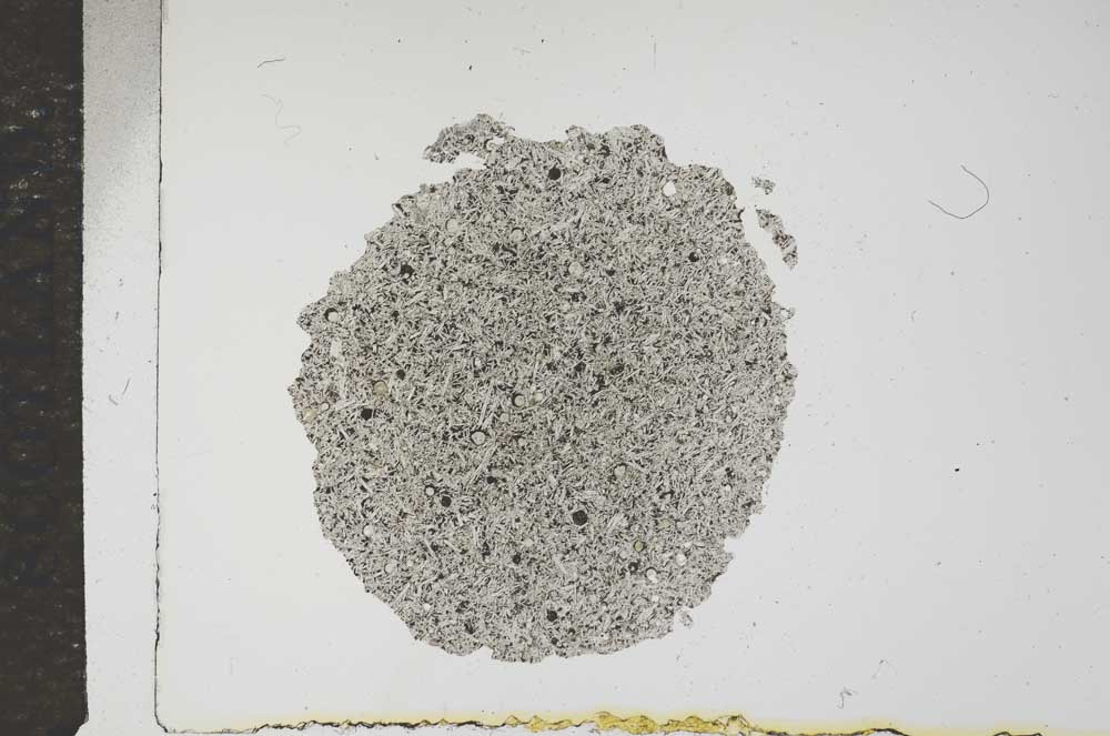 Plane Polarized, S16238