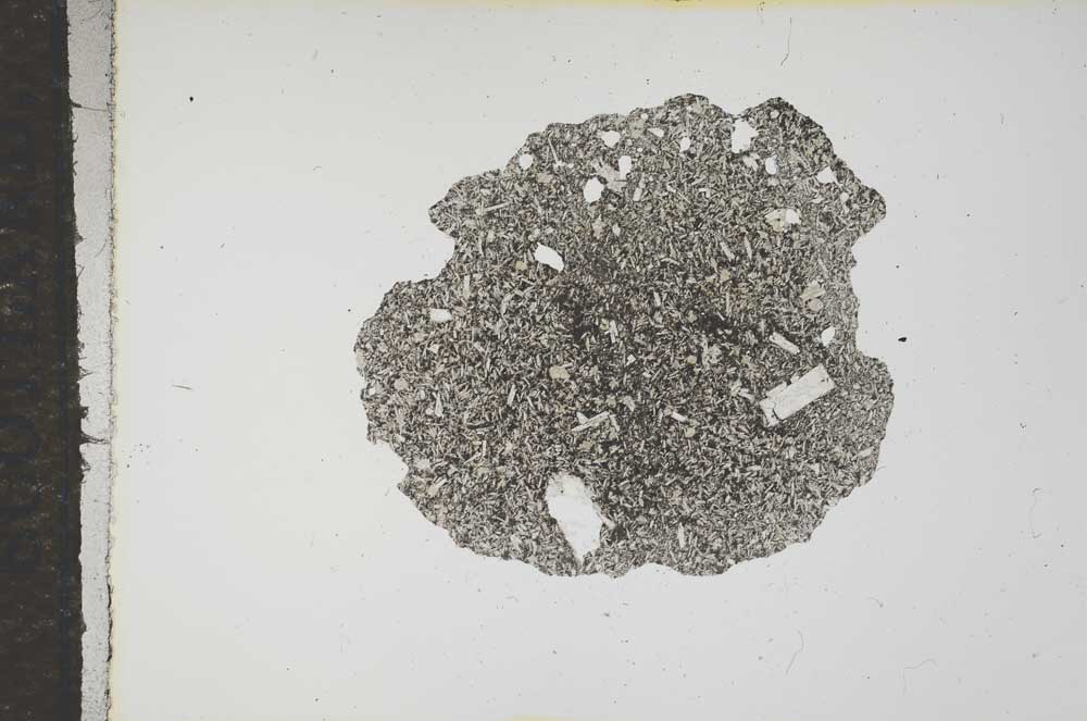 Plane Polarized, S16239