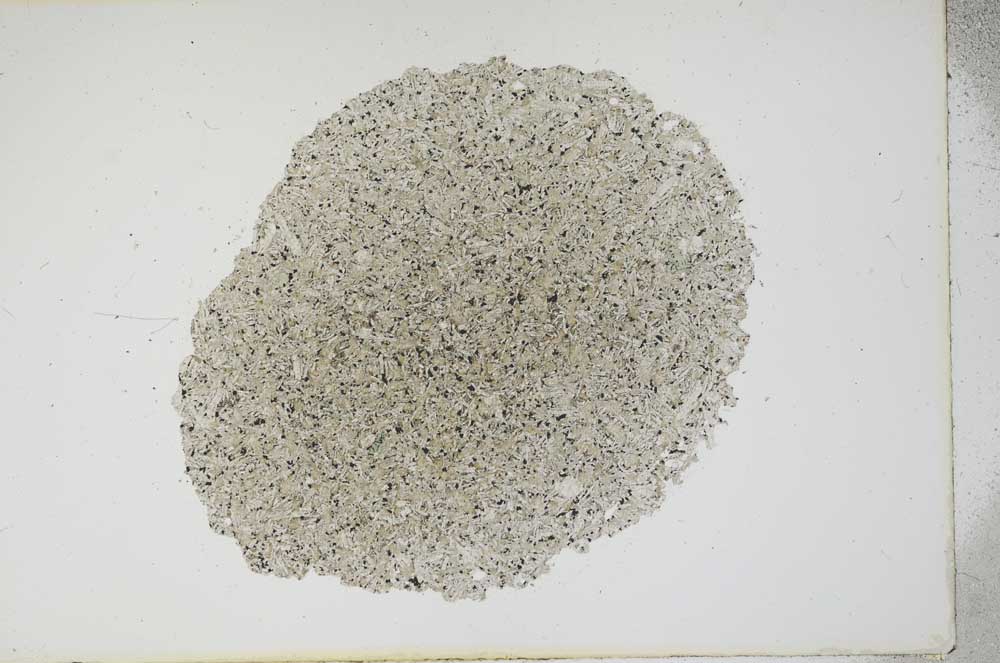 Plane Polarized, S16243