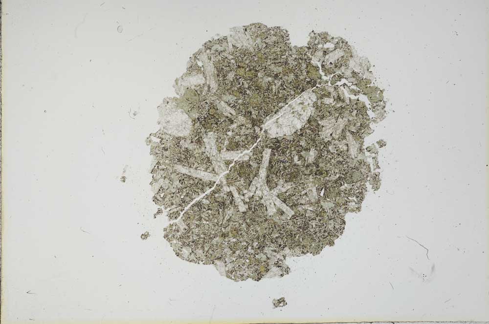 Plane Polarized, S16249