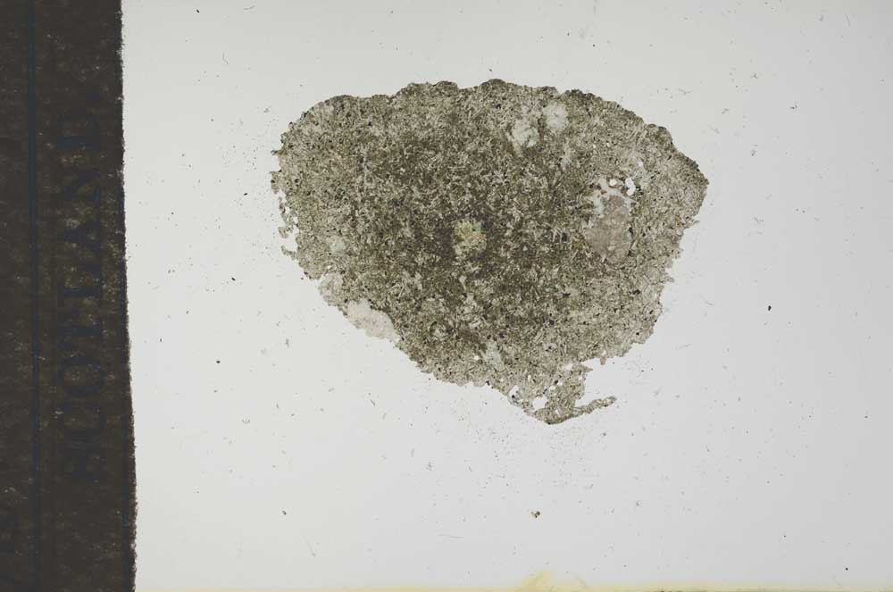 Plane Polarized, S16256