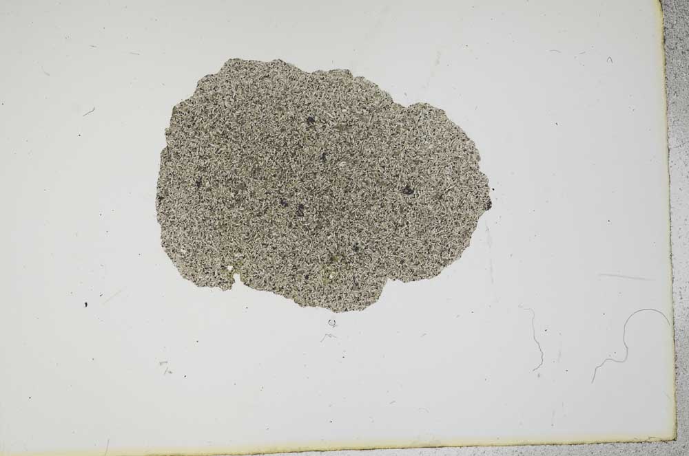 Plane Polarized, S16257