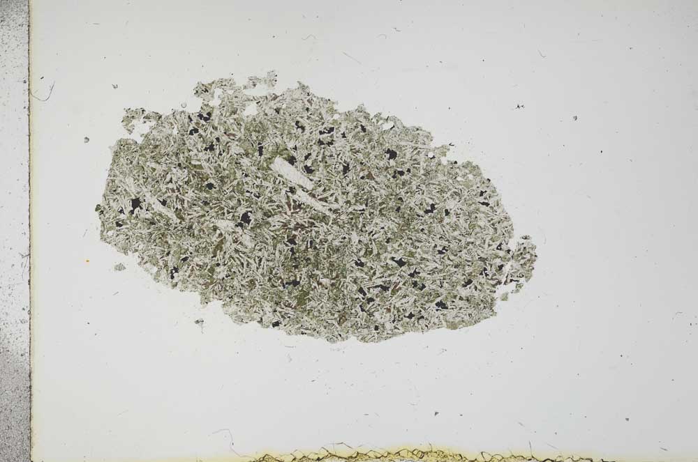 Plane Polarized, S16261