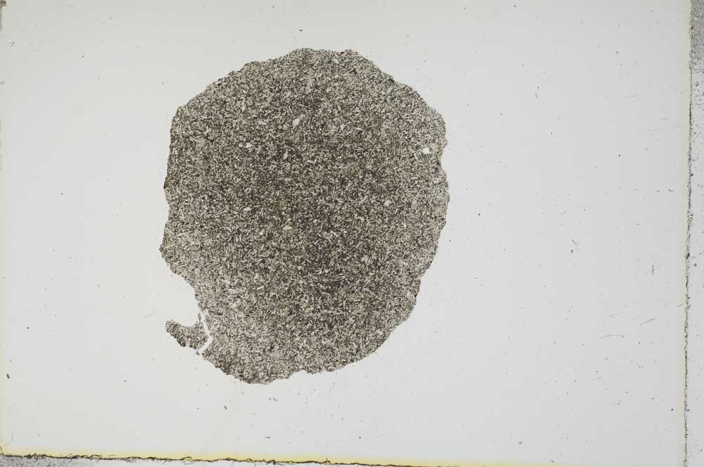 Plane Polarized, S16265