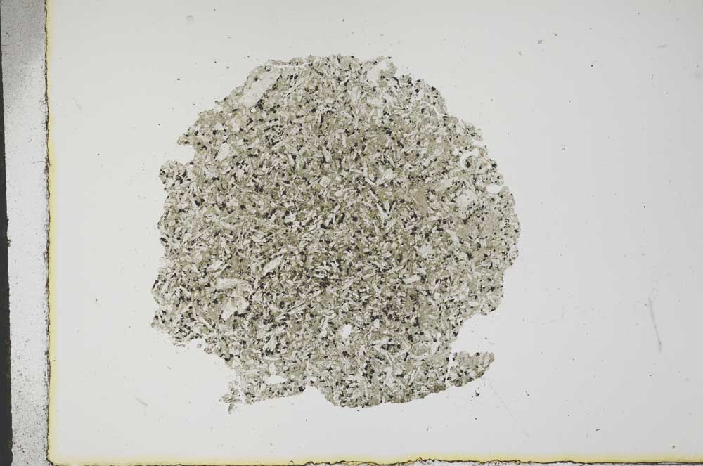Plane Polarized, S16268