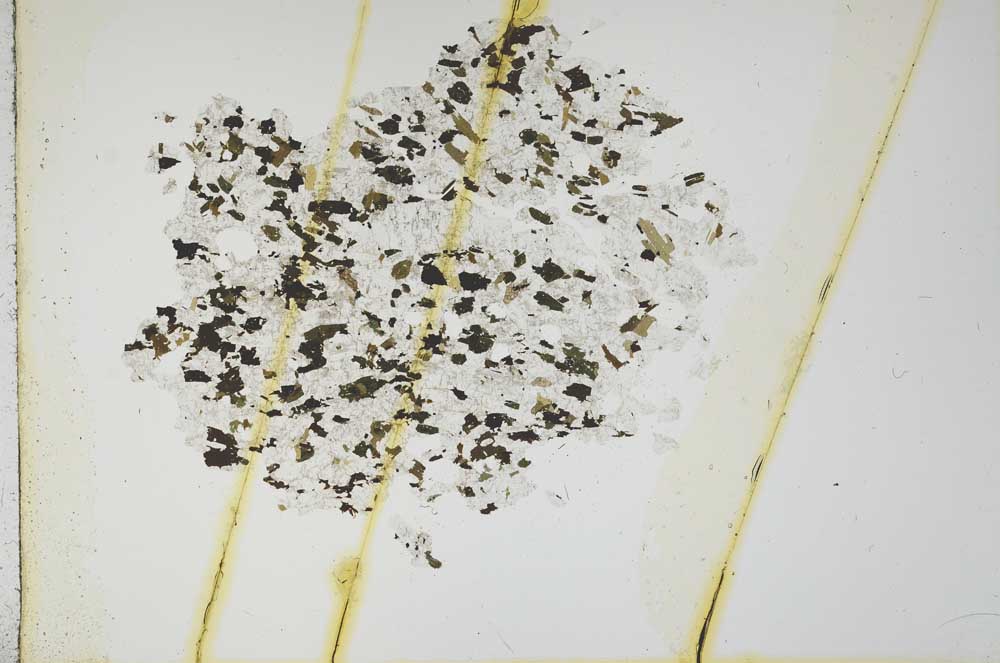 Plane Polarized, S16283