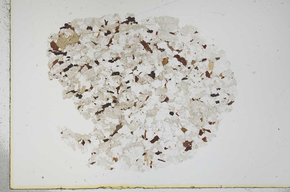 Plane Polarized, S16288