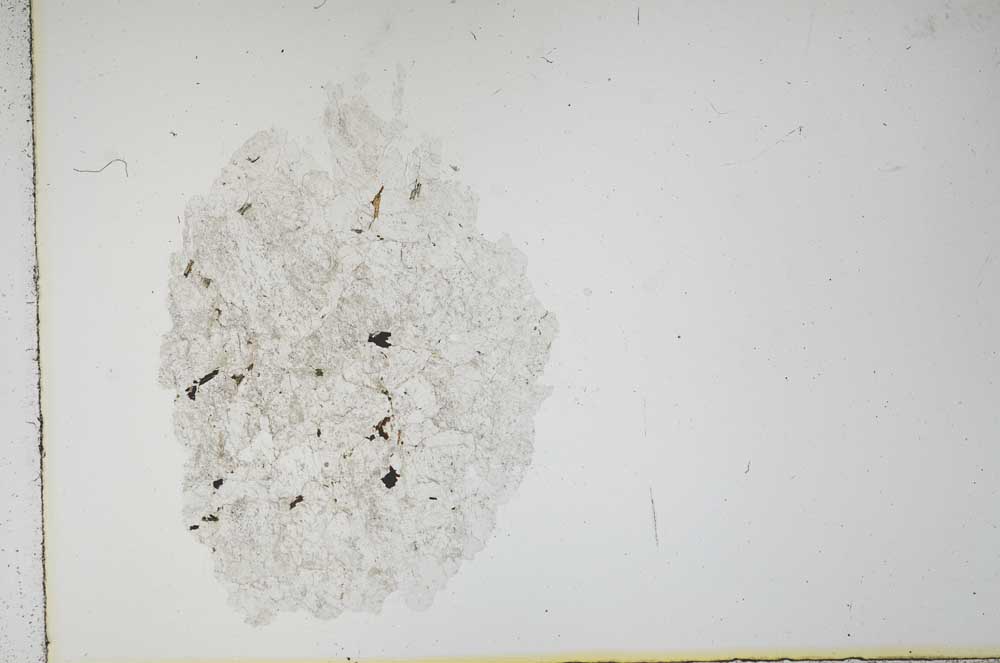 Plane Polarized, S16290