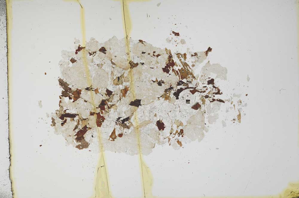 Plane Polarized, S16292