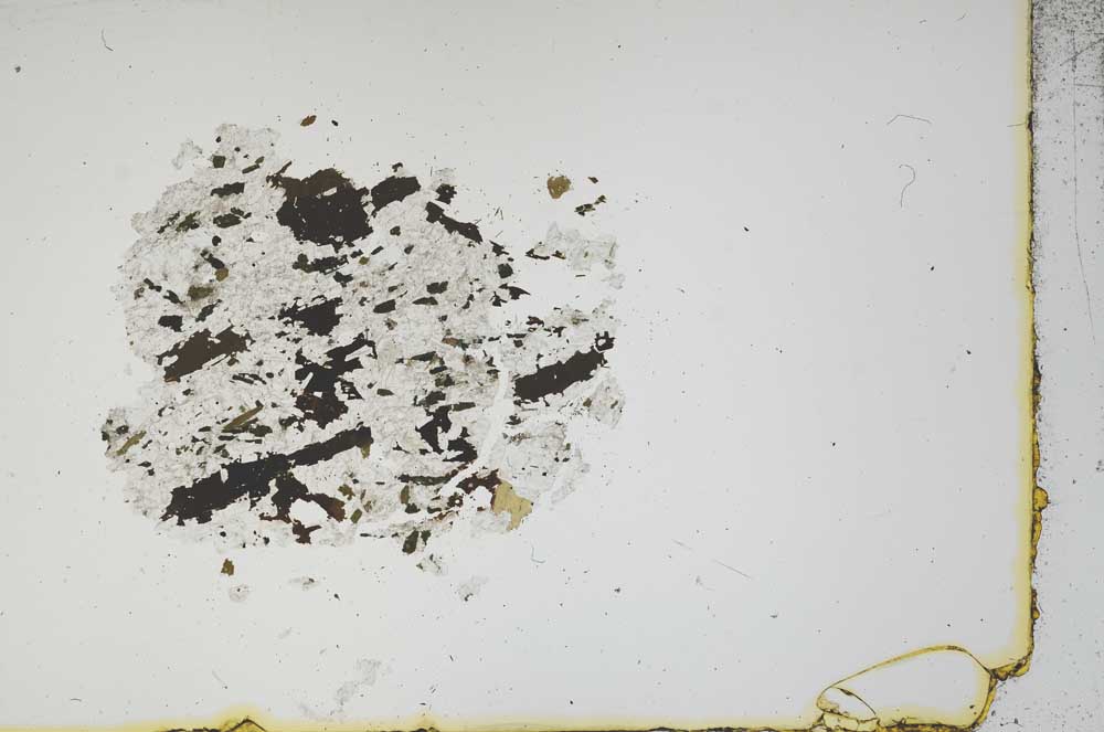 Plane Polarized, S16294