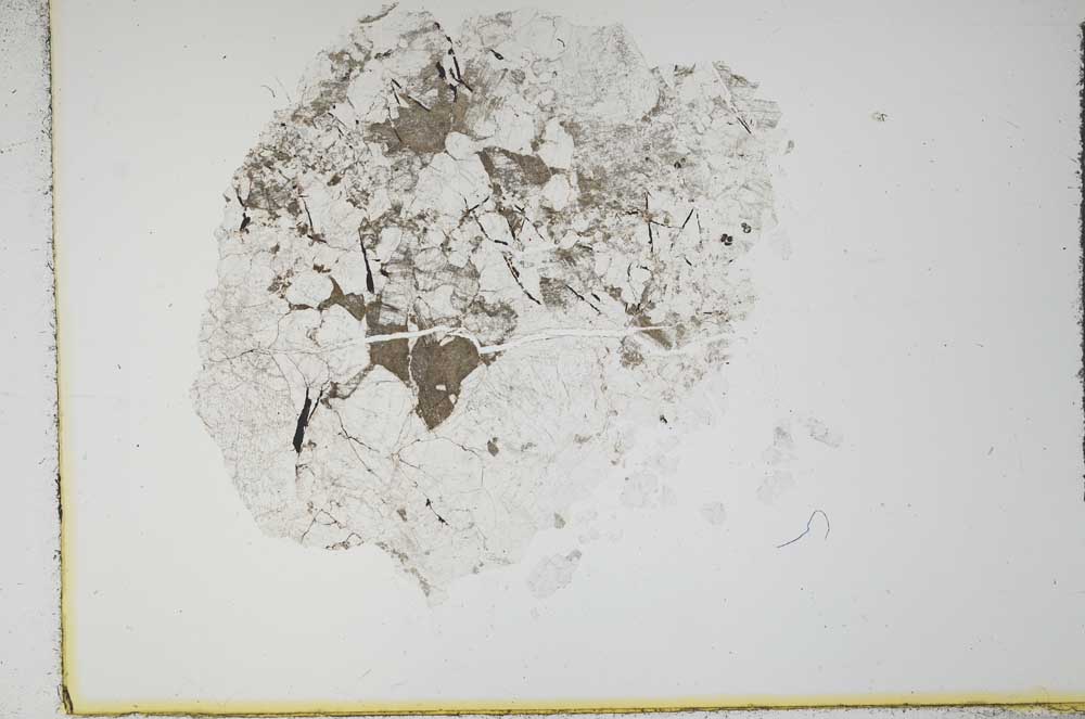 Plane Polarized, S16295