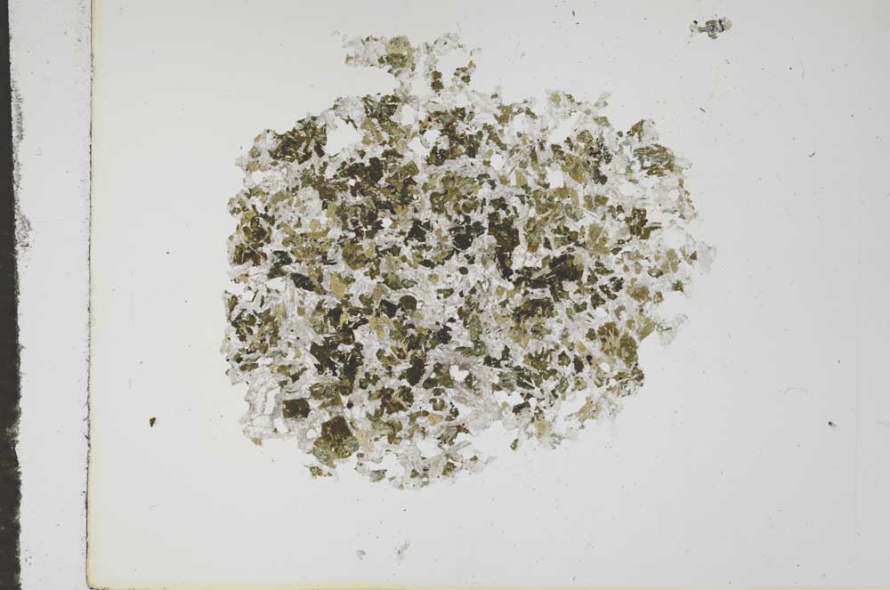 Plane Polarized, S16299