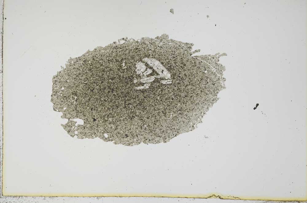 Plane Polarized, S16316