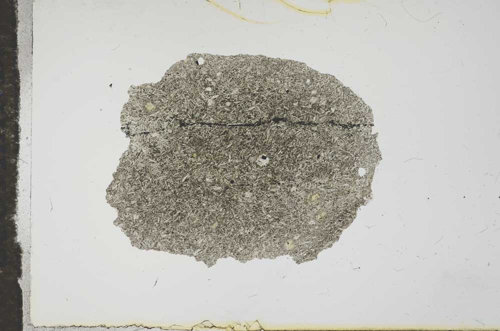 Plane Polarized, S16350