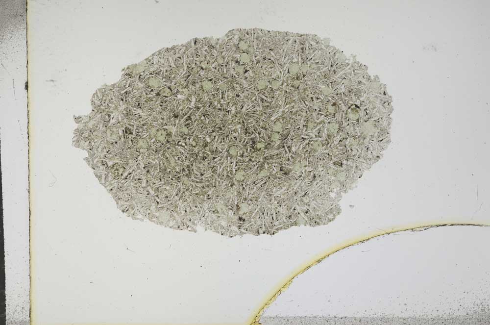 Plane Polarized, S16359