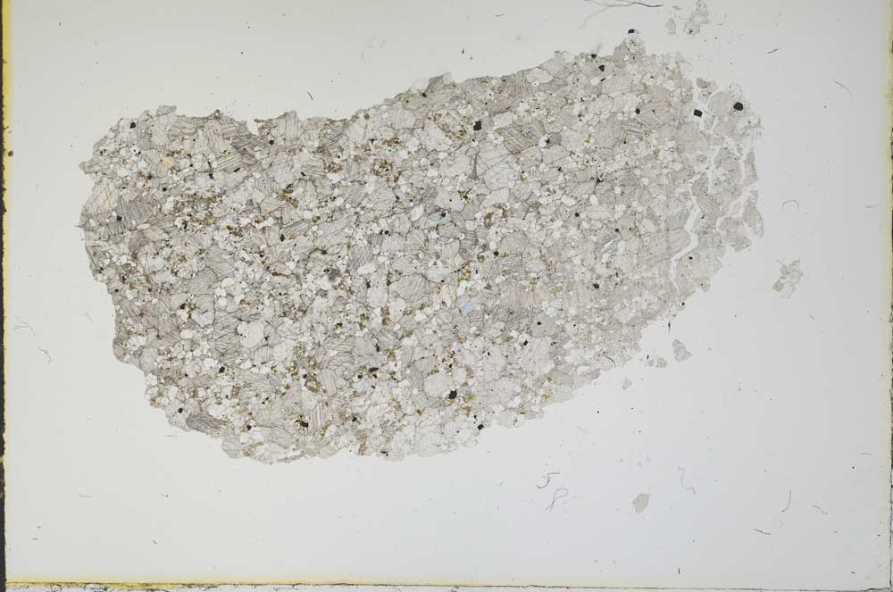 Plane Polarized, S16405