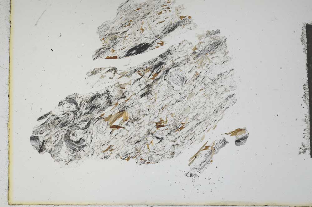 Plane Polarized, S16413