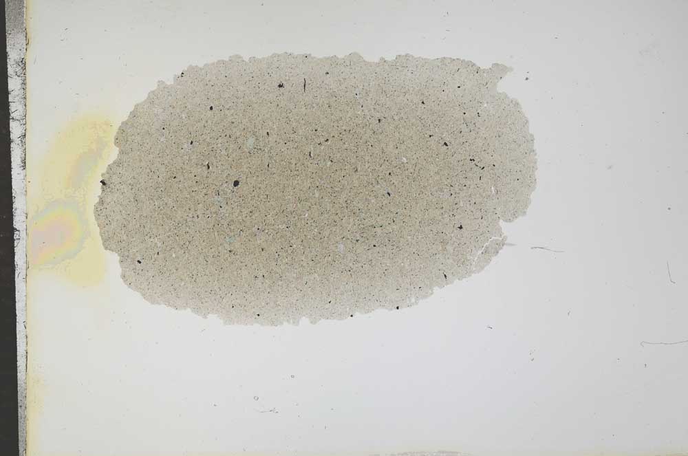 Plane Polarized, S16414