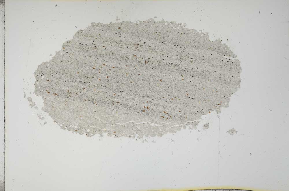 Plane Polarized, S16423