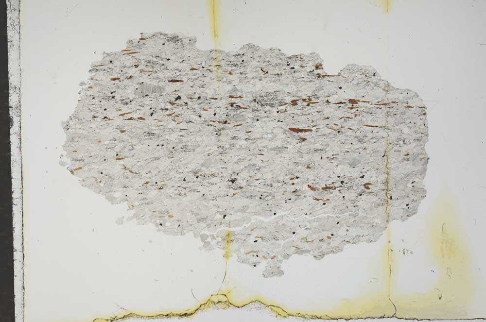 Plane Polarized, S16425