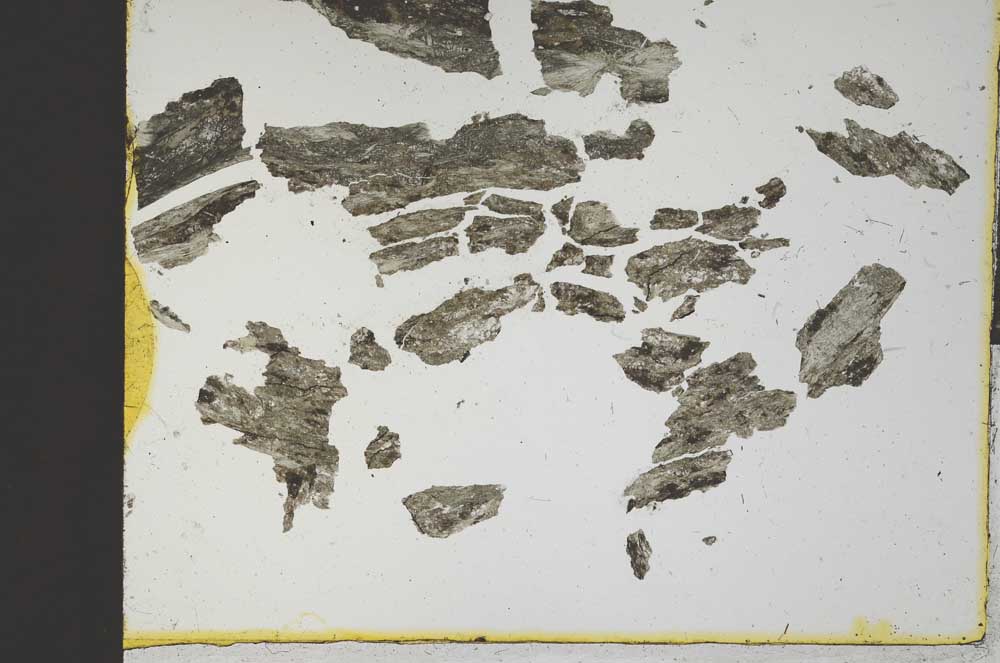 Plane Polarized, S16426