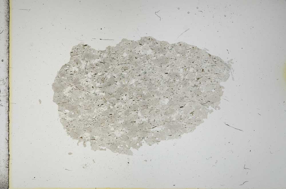 Plane Polarized, S16428