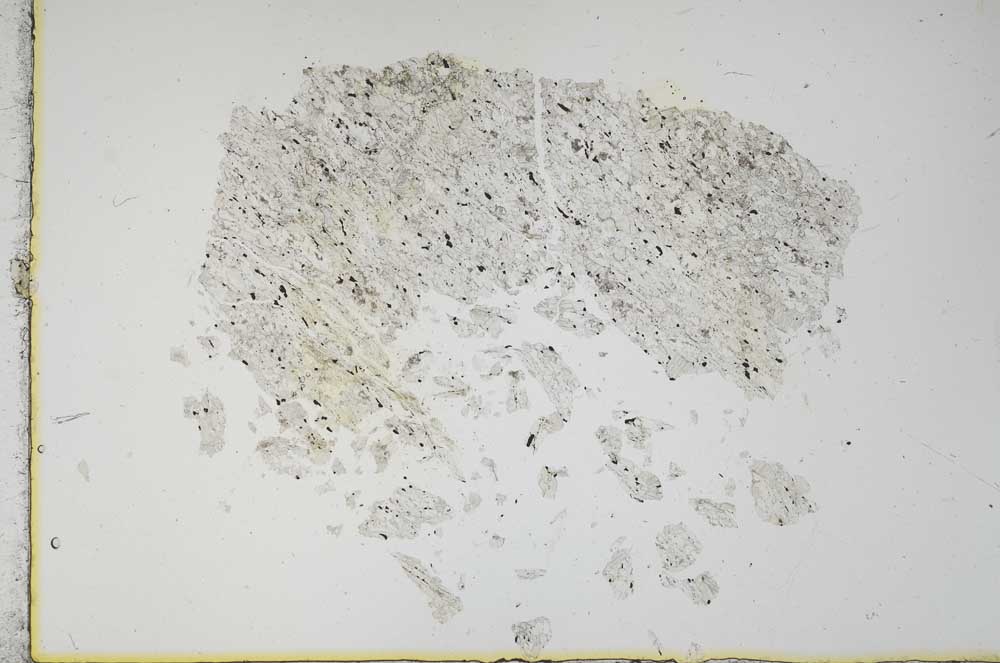 Plane Polarized, S16434