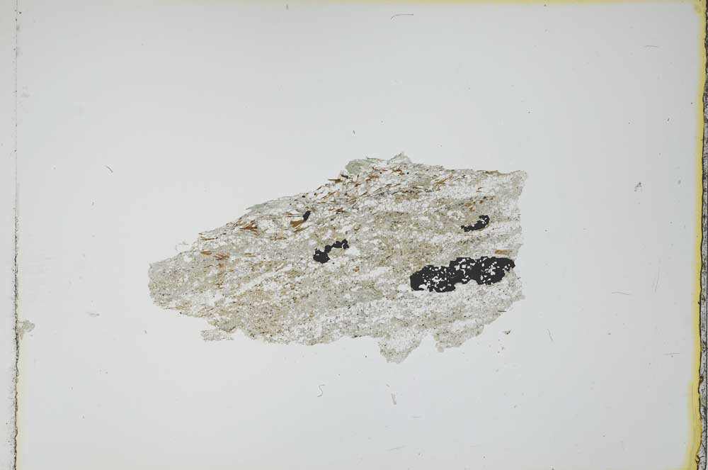 Plane Polarized, S16435