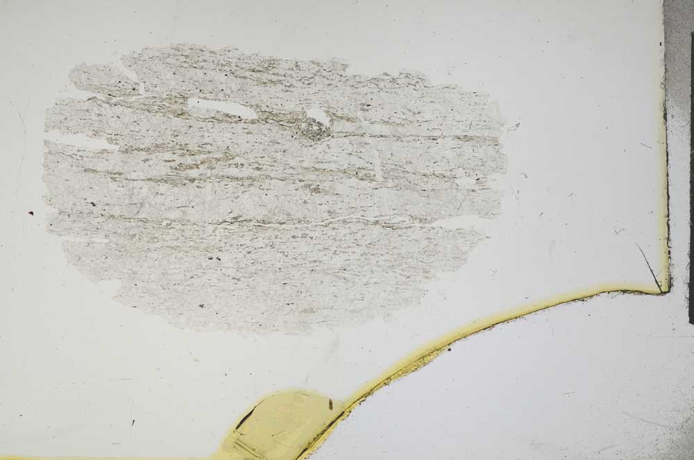 Plane Polarized, S16437