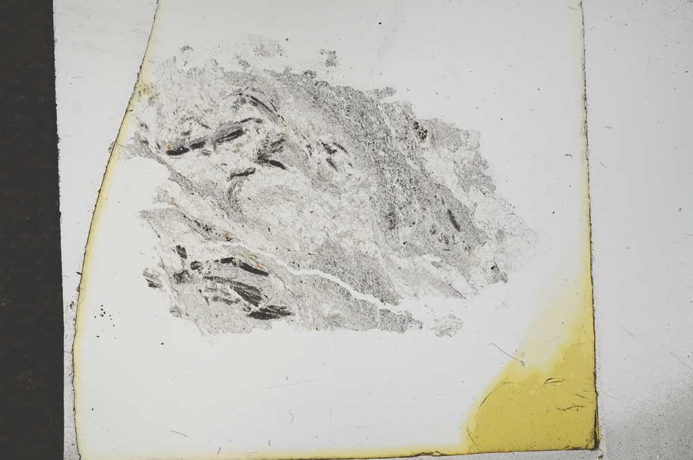 Plane Polarized, S16438