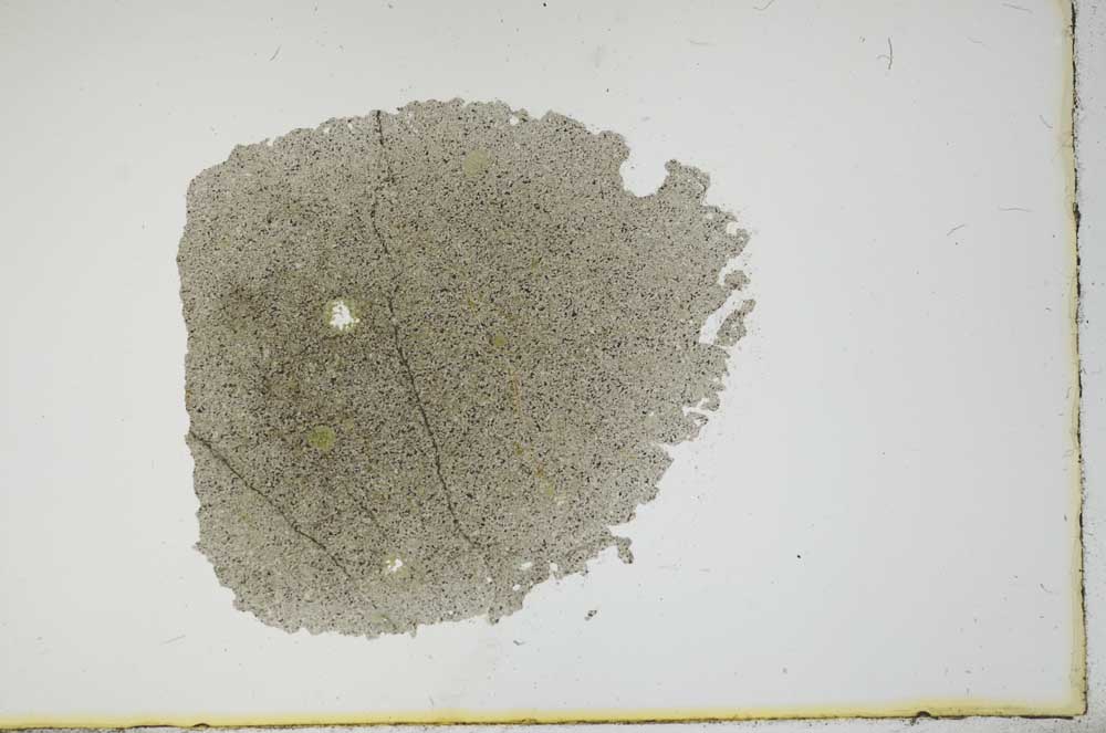 Plane Polarized, S16440