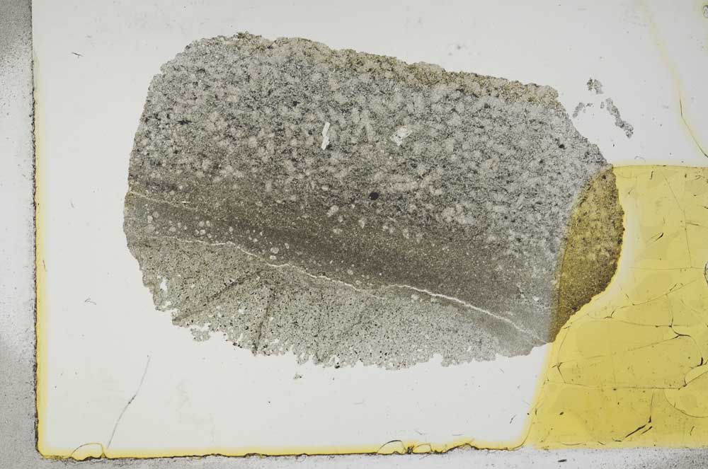 Plane Polarized, S16461