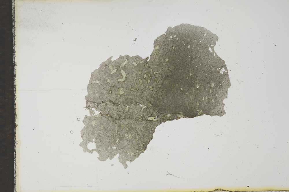 Plane Polarized, S16474