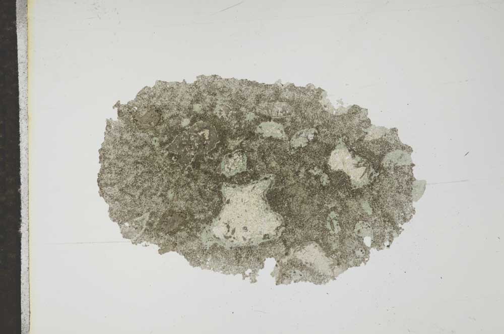 Plane Polarized, S16488