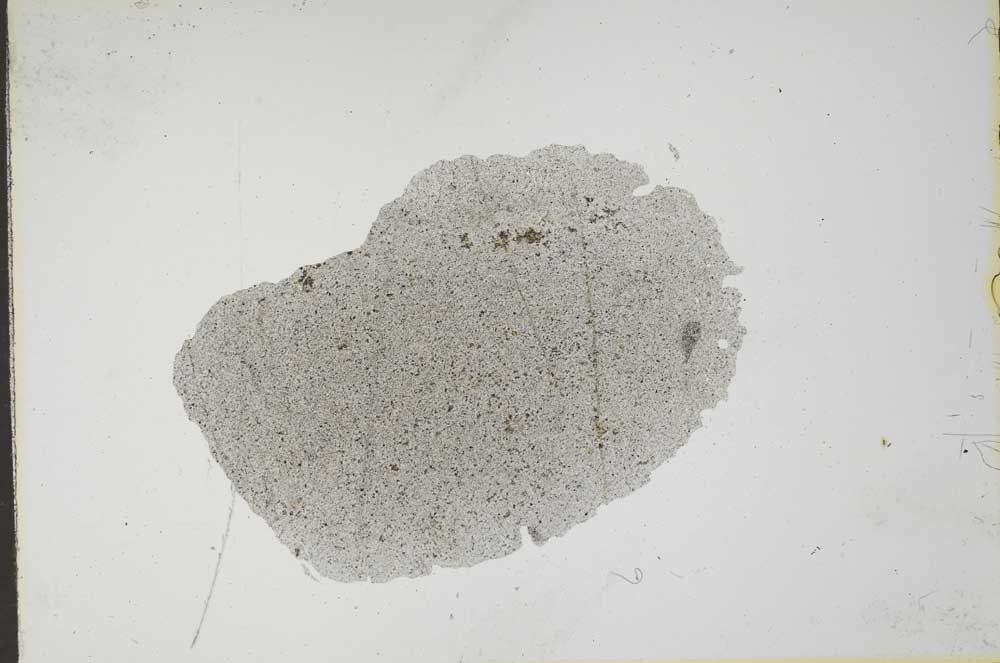 Plane Polarized, S16490